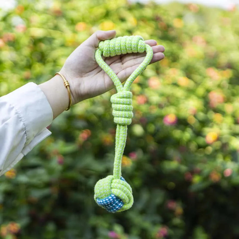 Ball rope toy