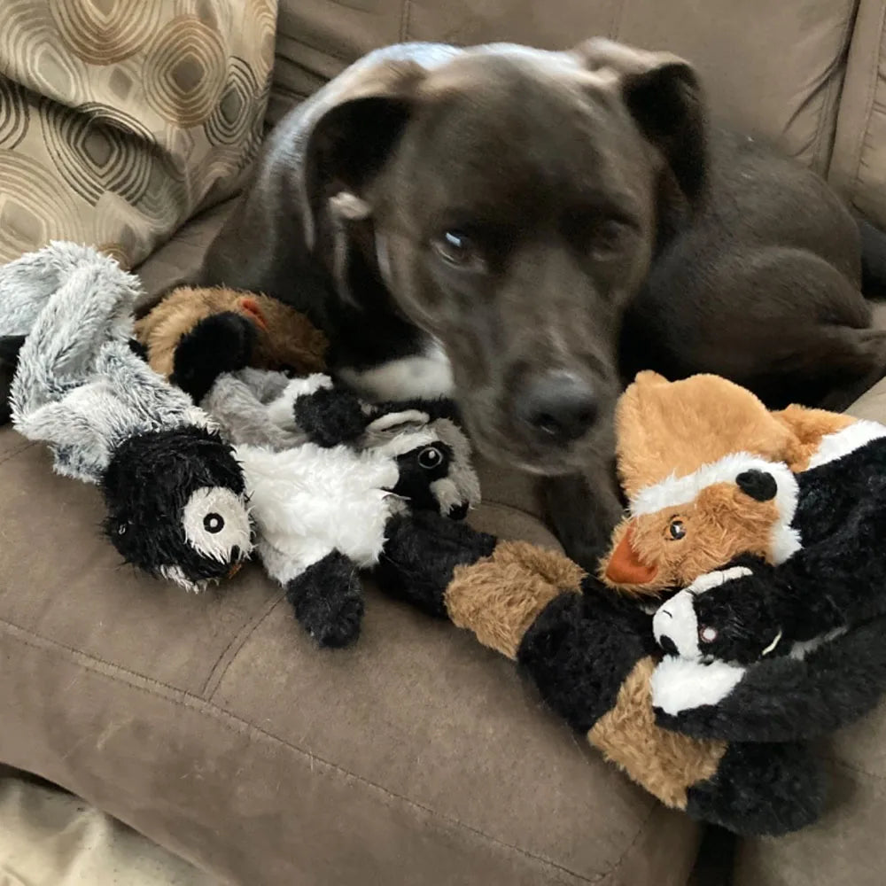 Funny animal dog toy with squeakers