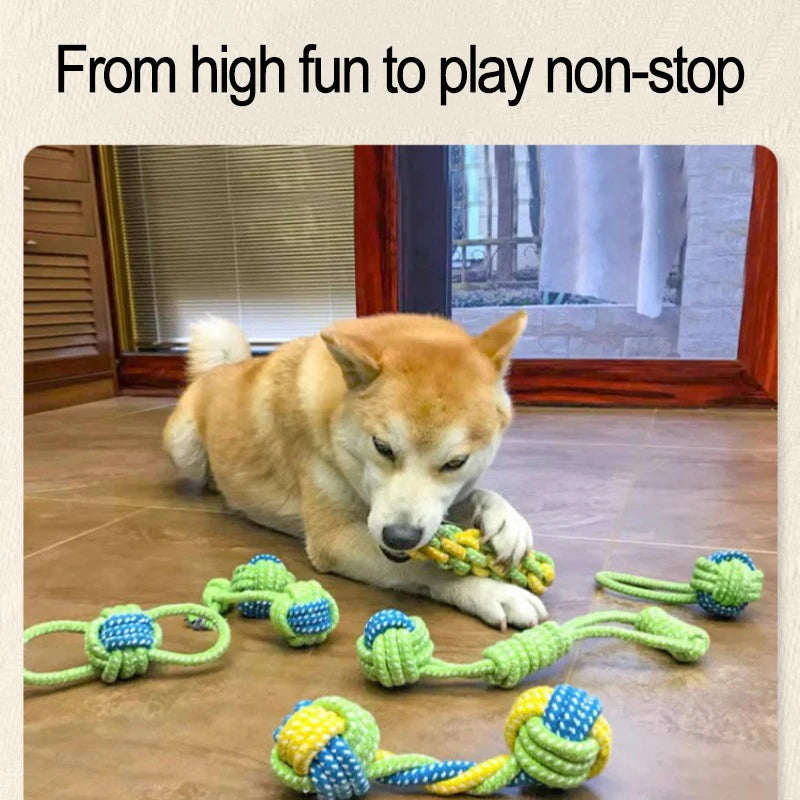 Ball rope toy