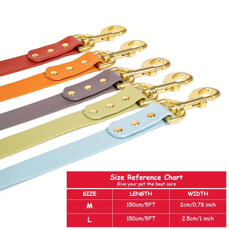 Lightweight leash for all size dogs