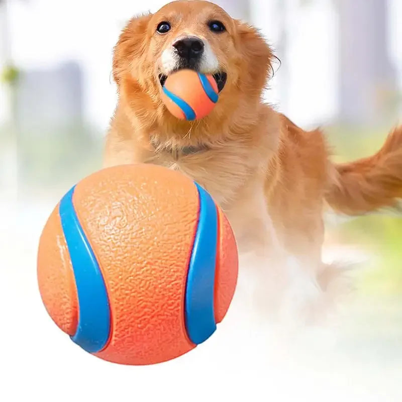 Playful chewingball for dogs