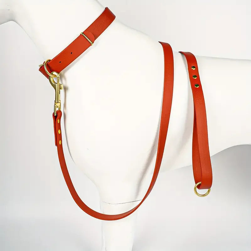 Lightweight leash for all size dogs