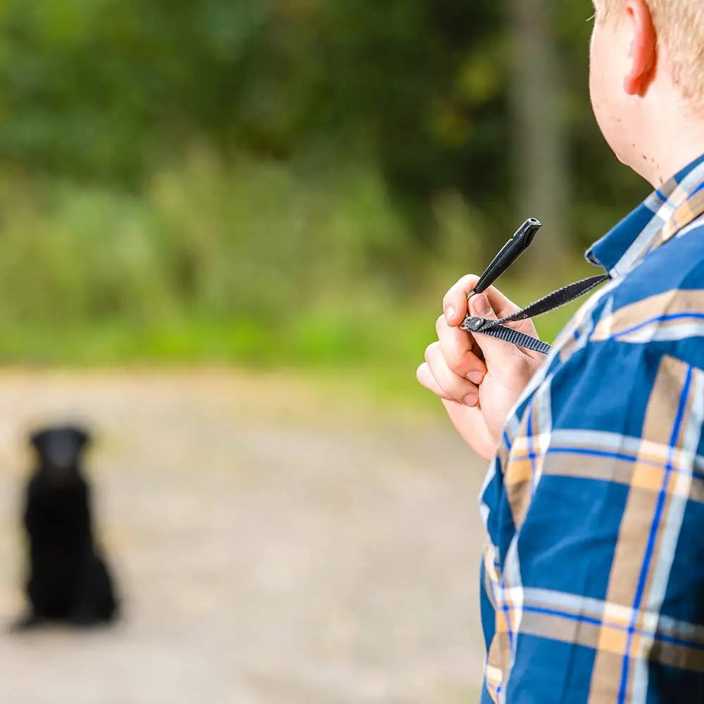 Training whistle for dogs with a leash