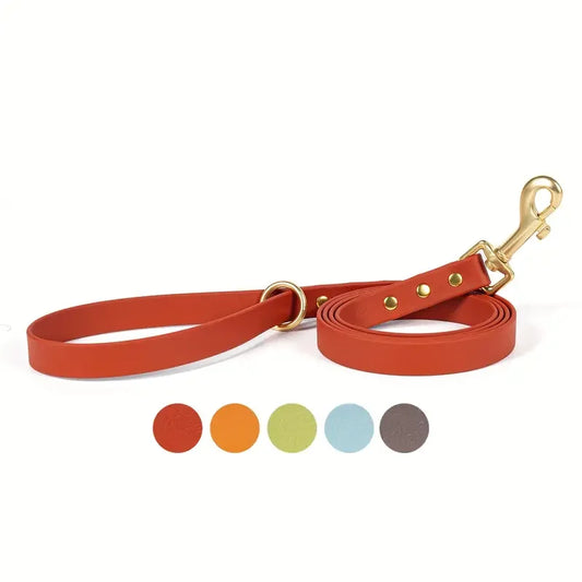 Lightweight leash for all size dogs