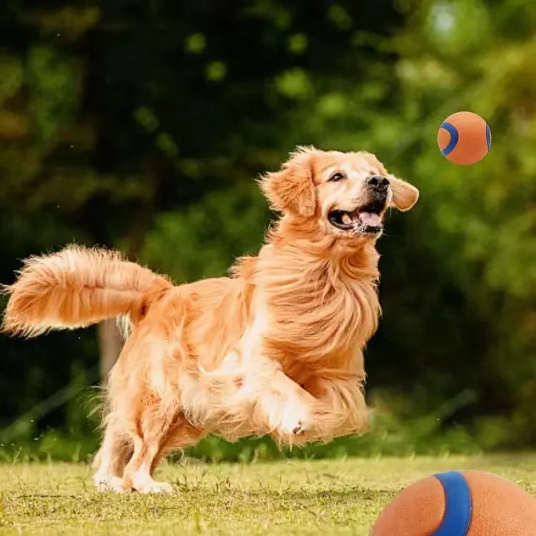 Playful chewingball for dogs