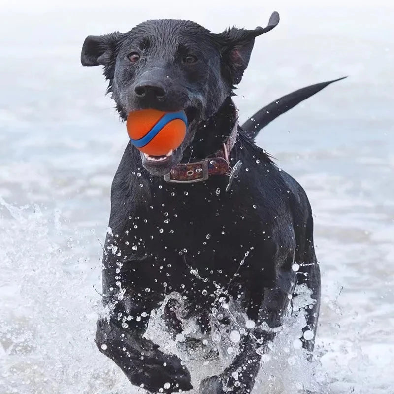 Playful chewingball for dogs