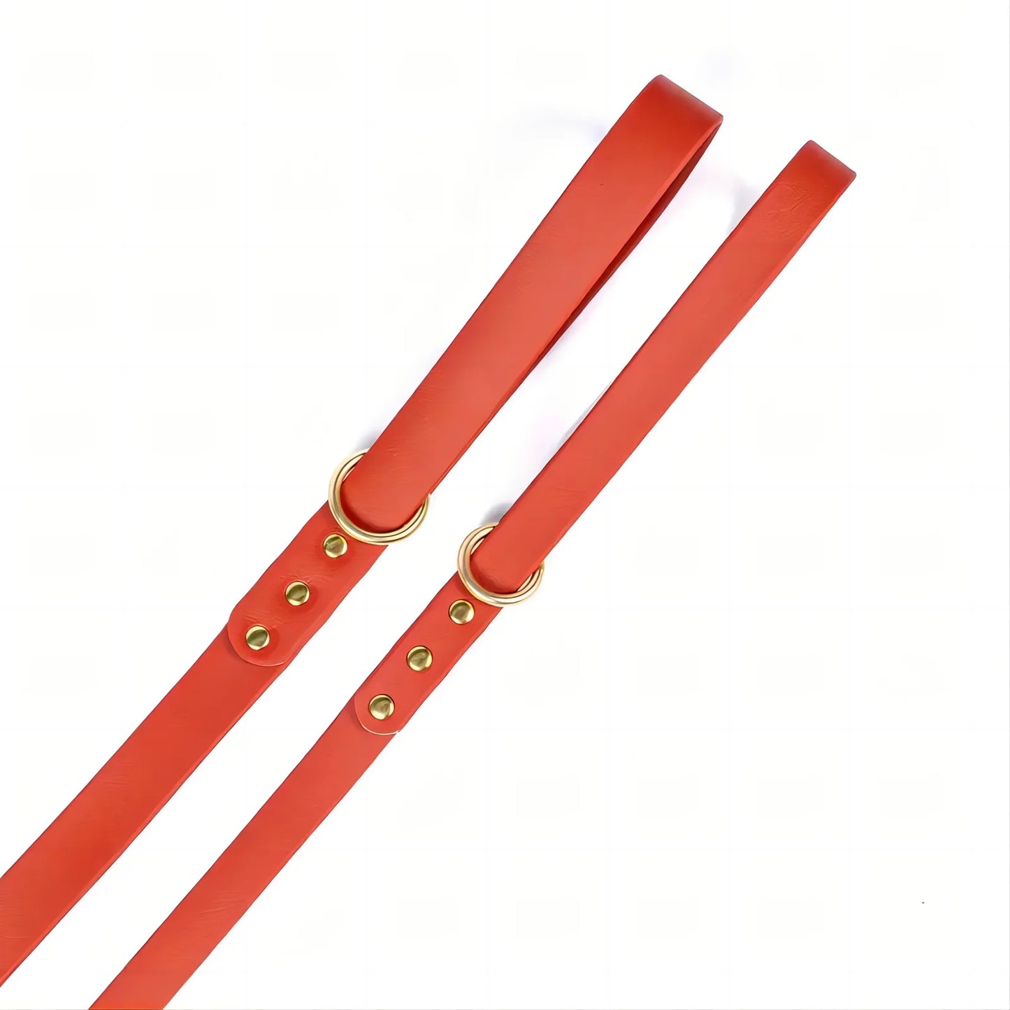 Lightweight leash for all size dogs