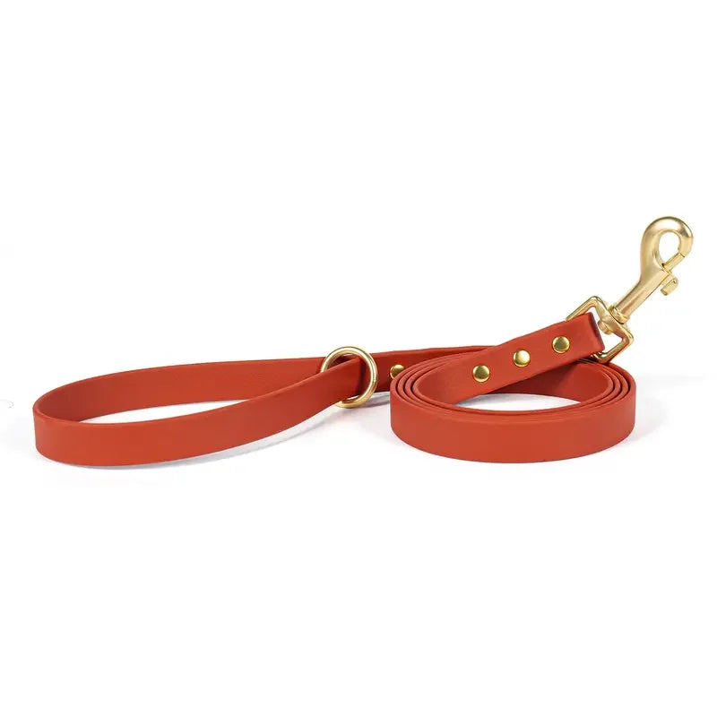 Lightweight leash for all size dogs