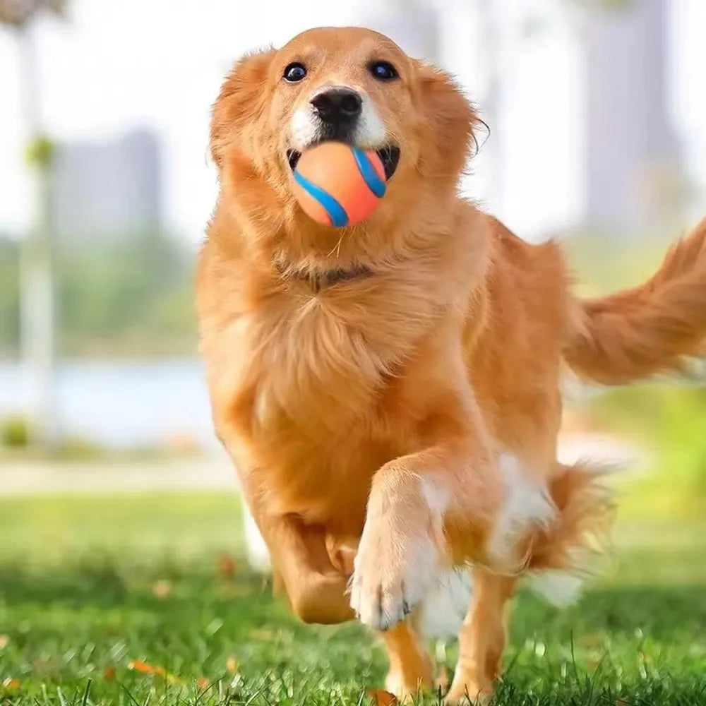 Playful chewingball for dogs