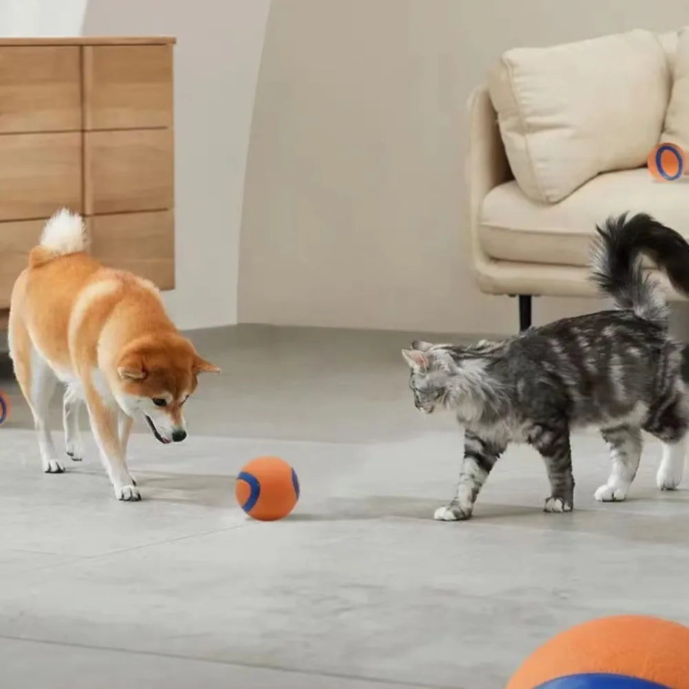 Playful chewingball for dogs