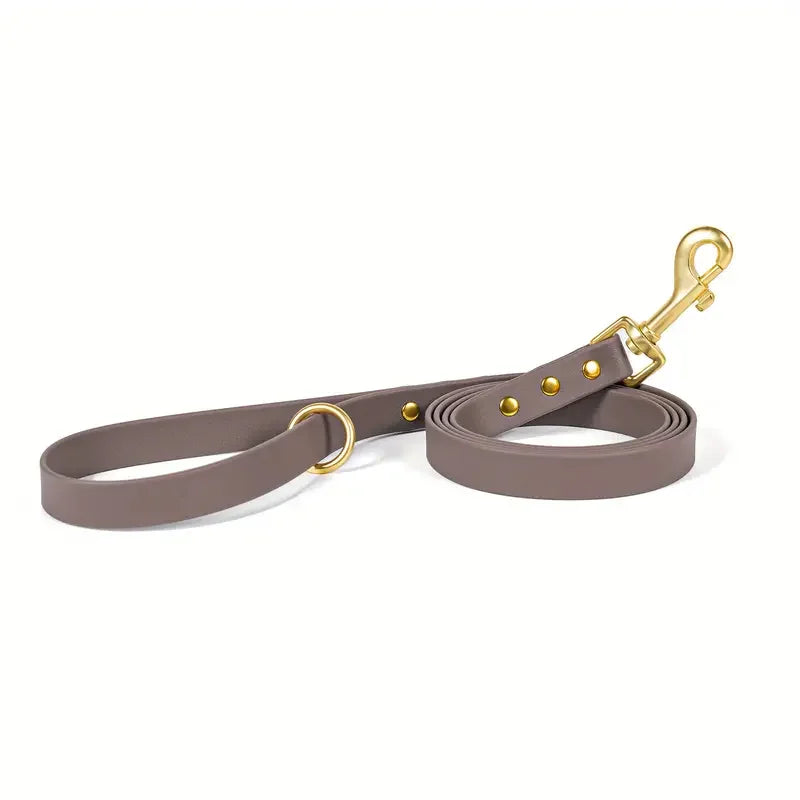 Lightweight leash for all size dogs