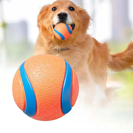 Playful chewingball for dogs