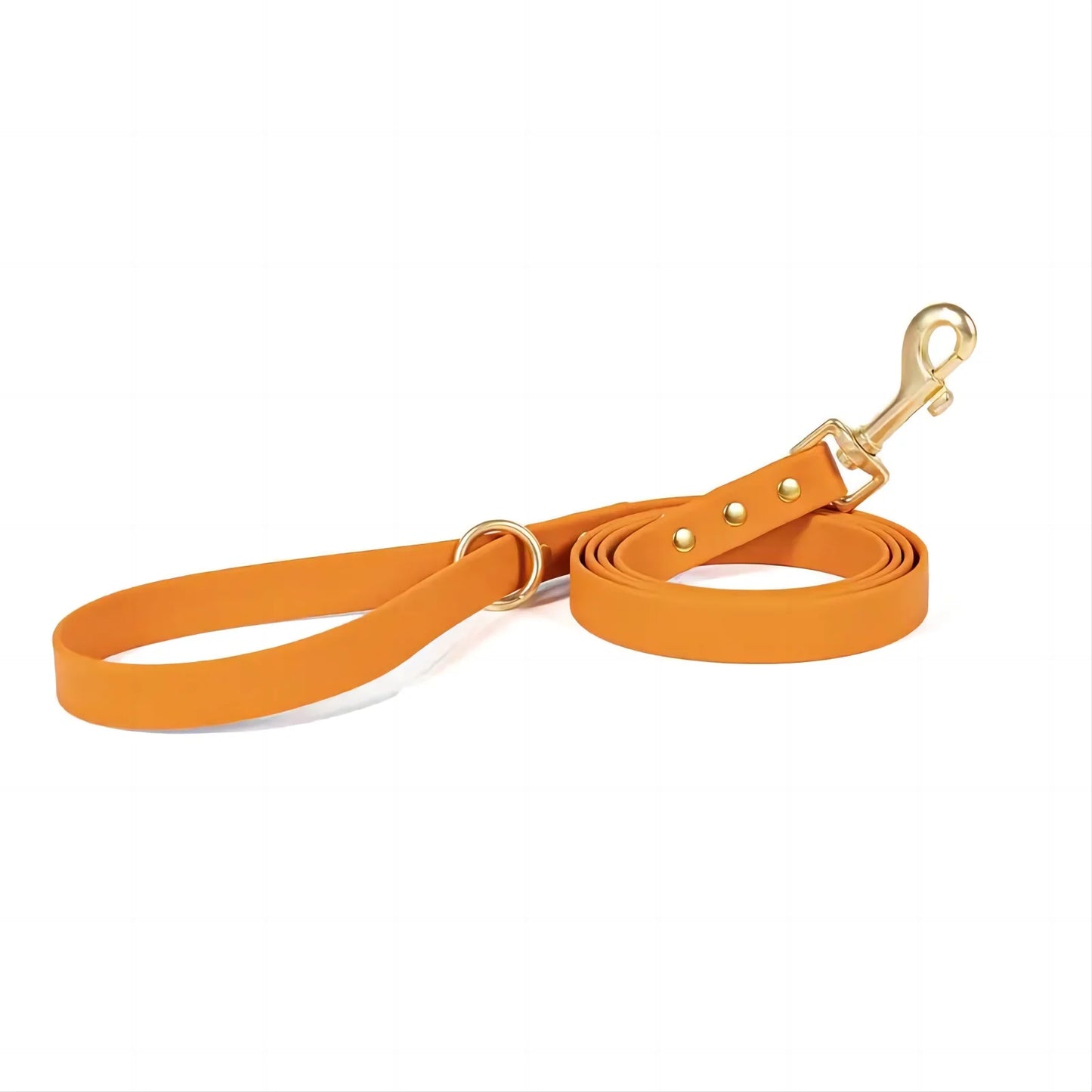 Lightweight leash for all size dogs
