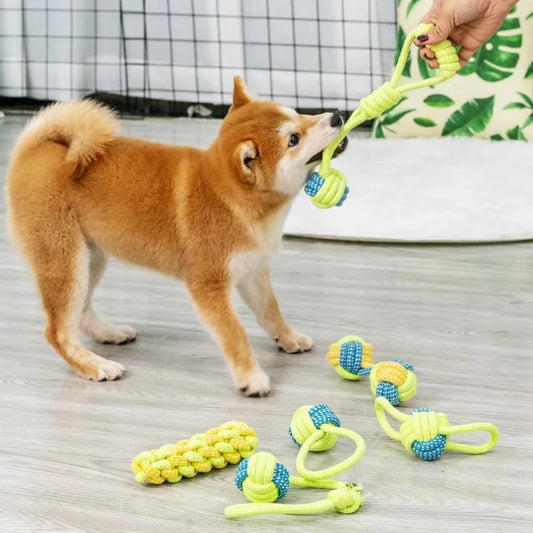Ball rope toy
