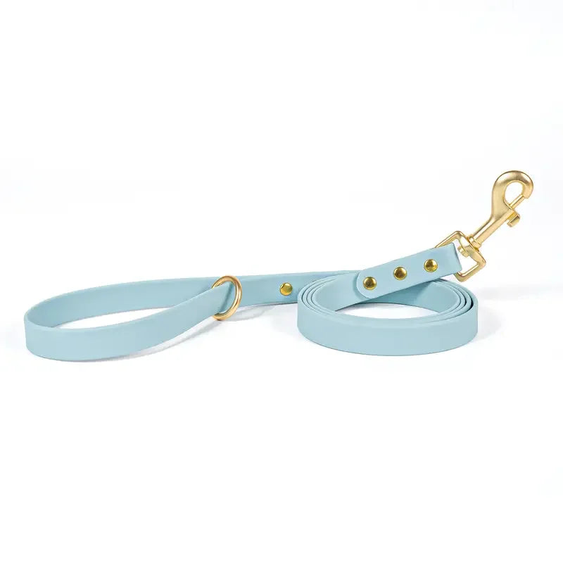 Lightweight leash for all size dogs