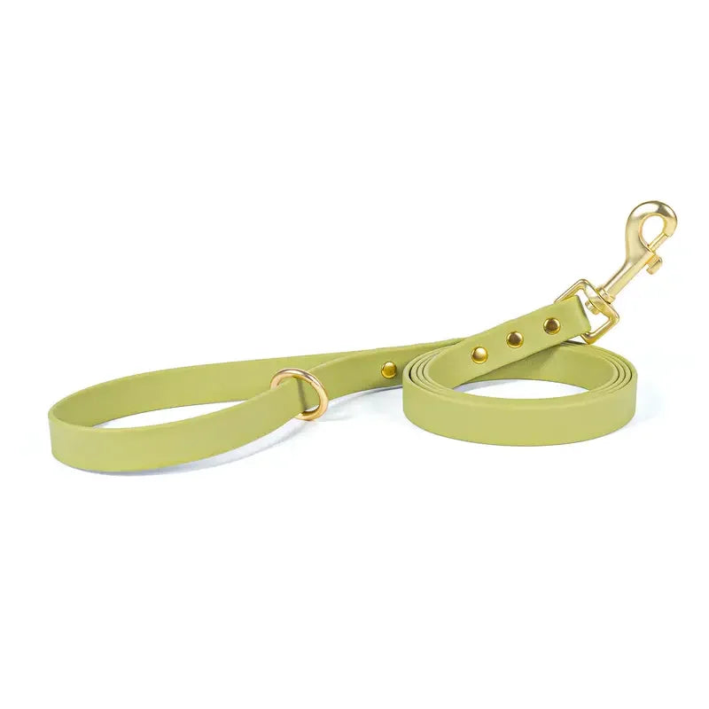 Lightweight leash for all size dogs