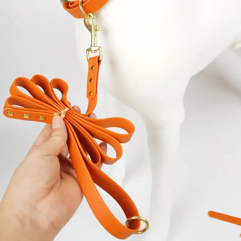 Lightweight leash for all size dogs