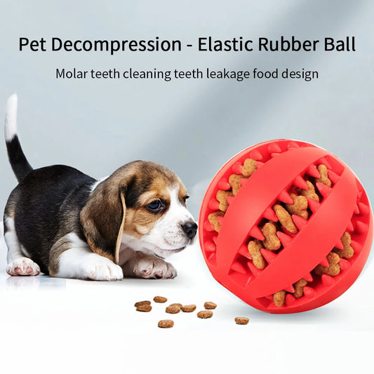 Tooth cleaning toy for dogs