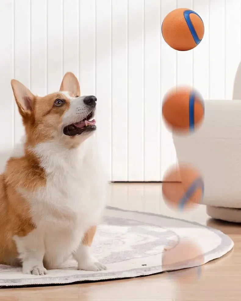 Playful chewingball for dogs