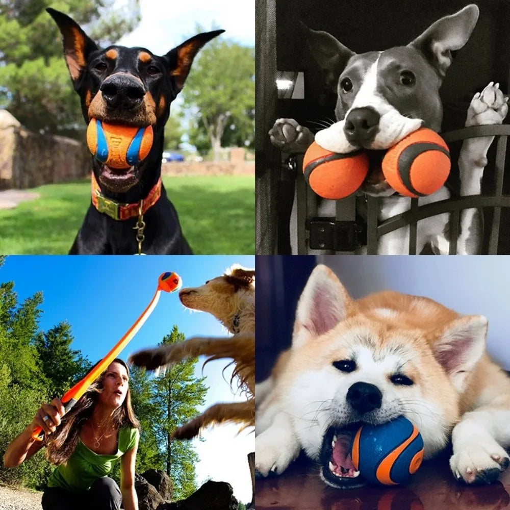 Playful chewingball for dogs