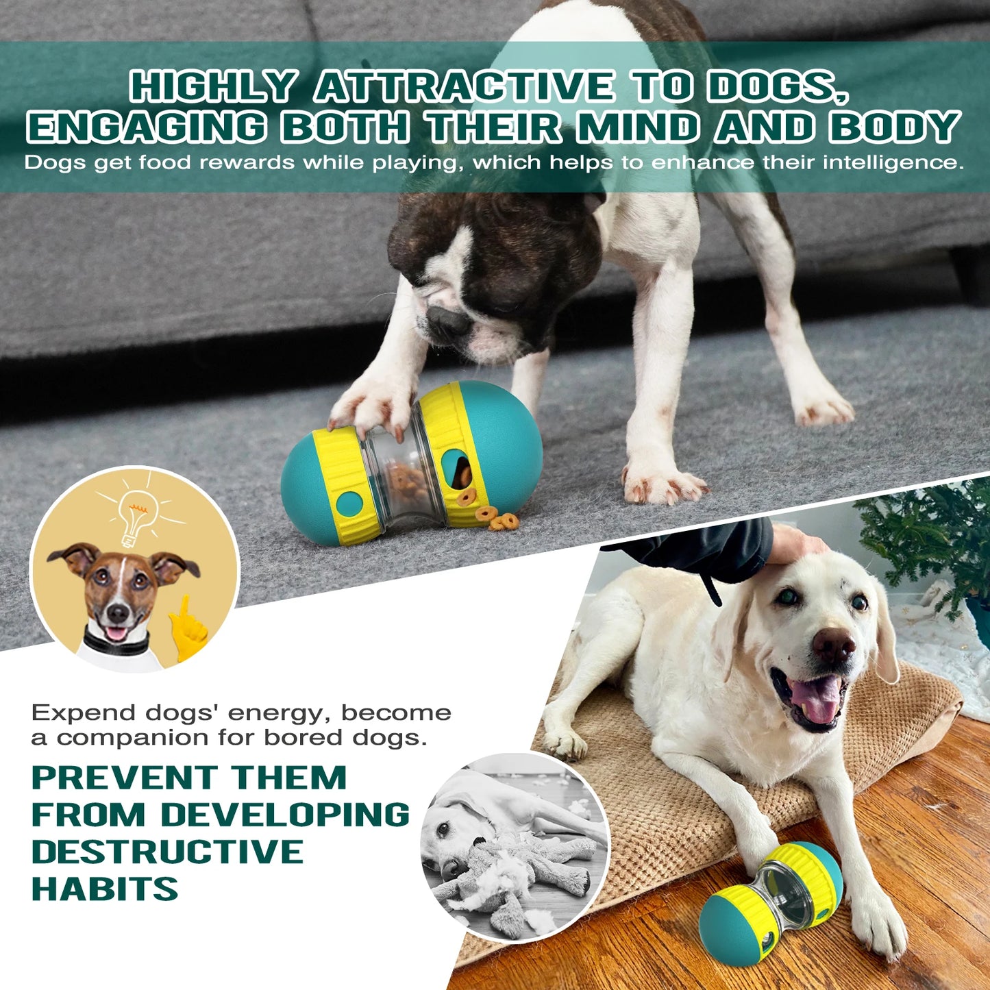 IQ testing toy for dogs