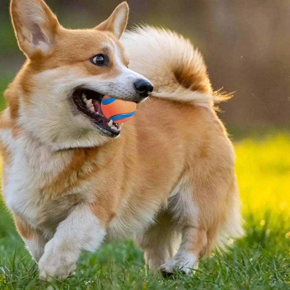 Playful chewingball for dogs