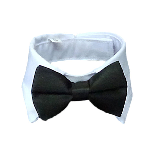 Adjustable bow-tie for dogs/cats