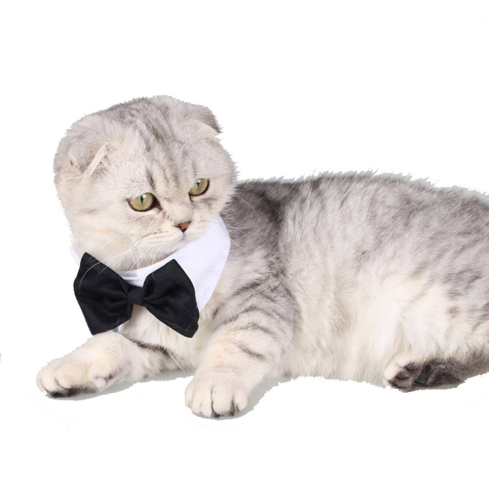 Adjustable bow-tie for dogs/cats