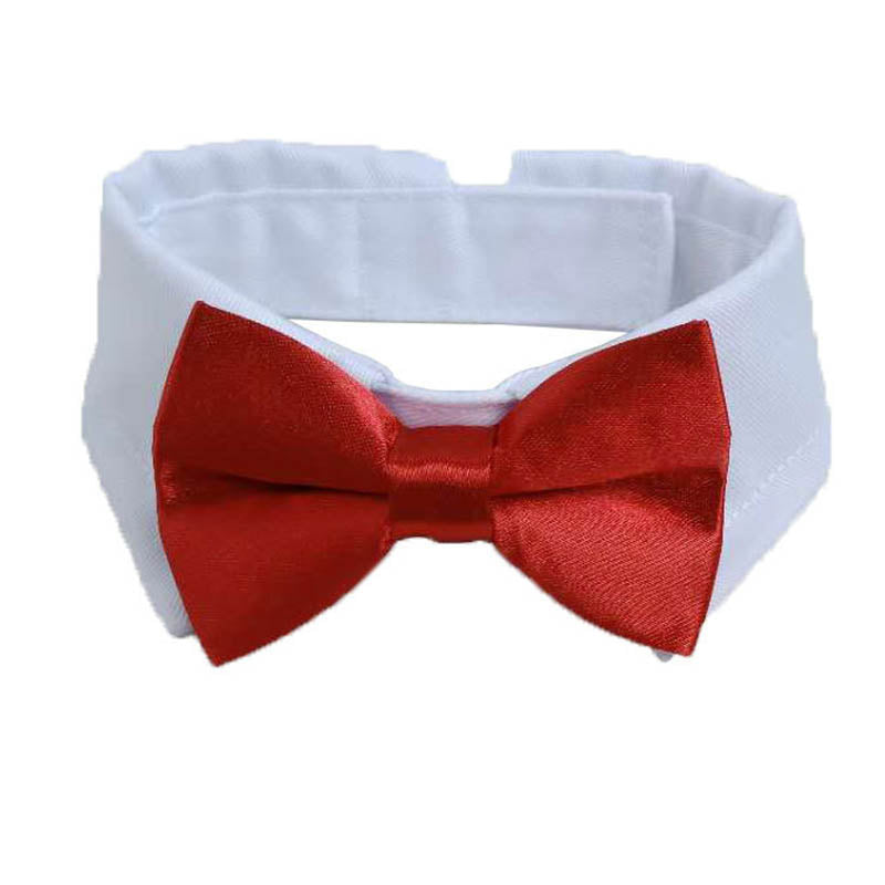 Adjustable bow-tie for dogs/cats